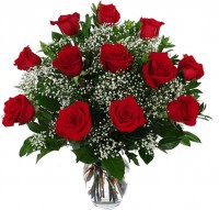 Fleurs | La Rose rouge; La Reine des fleurs TM-025  | Boutique en ligne | Roy et Gigure